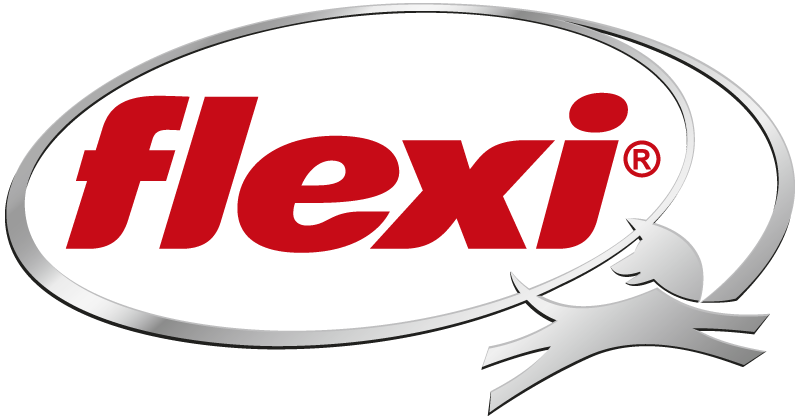 Flexi GmbH